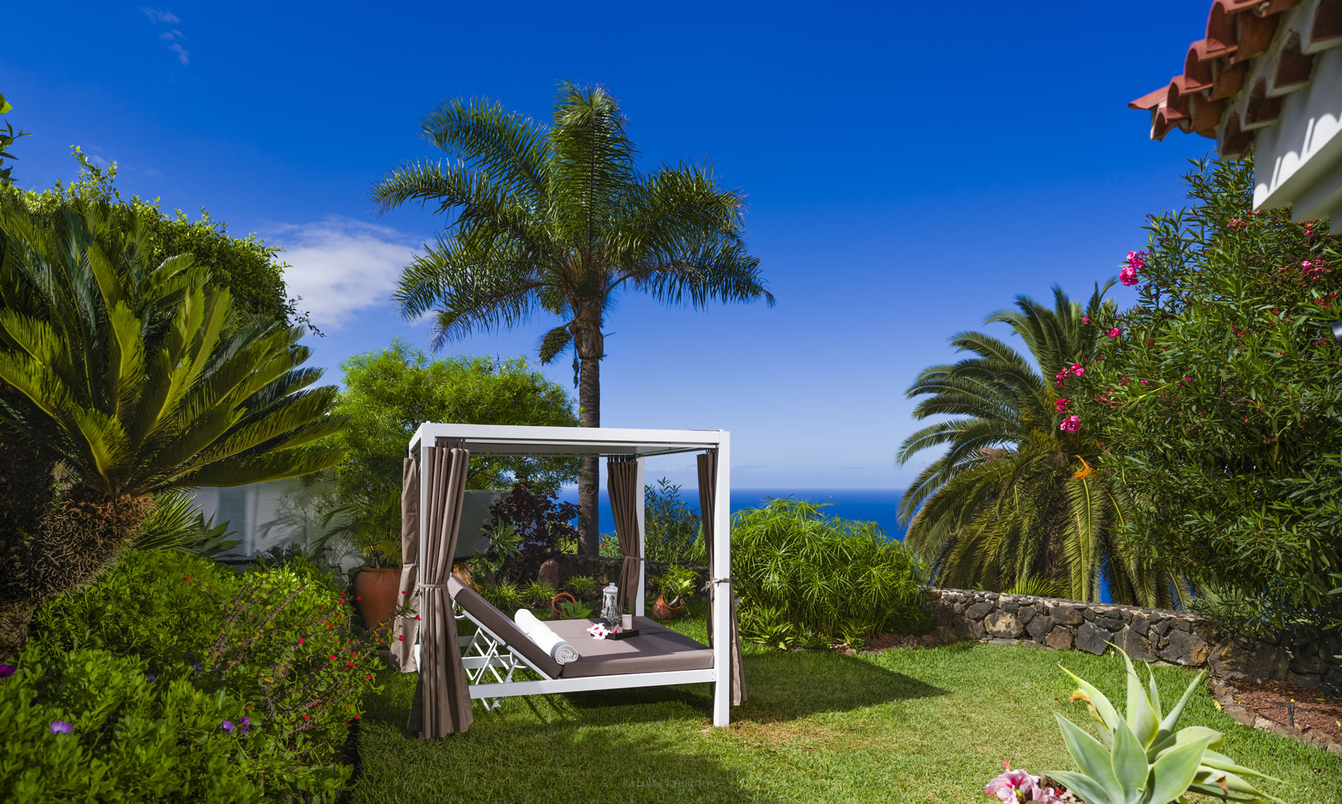 Casa Alberto at Jardin de la Paz: palm garden with sea view